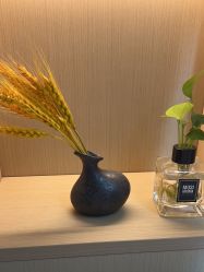 -艾尚妮·美容美体SPA