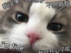 -阿罗新疆菜(人民广场店)