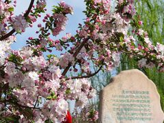 -海棠花溪(元大都城垣遗址公园)