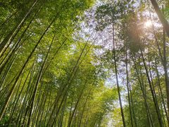 -千泷沟大瀑布旅游区