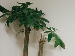 -安肯心理咨询(长宁旗舰店)