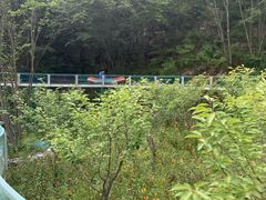 -十渡东湖港风景区