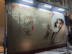 -北京大学百年讲堂