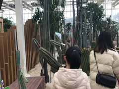 -黄龙溪欢乐田园