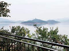 -望湖烤鱼