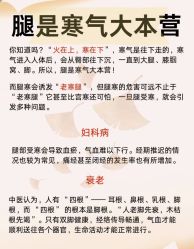 -雅曼妮spa美容养生