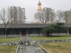 -护国法轮寺