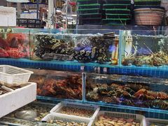 -三旗百汇商品城