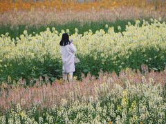 -三圣花乡旅游区