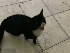 -宠颐生维康宠物医院(金丰店)