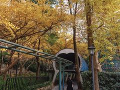-中山公园
