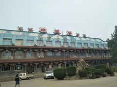 -东方巨龟苑景区