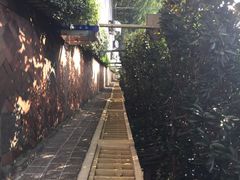 八大关景区-八大关景区