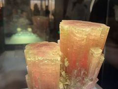 -安徽省地质博物馆