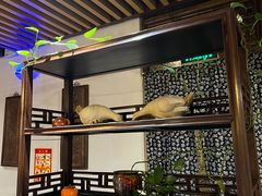 -桃源村(老门东店)