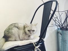 -研途咖啡馆(健康路店)
