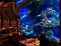 -迪拜帆船酒店海底餐厅