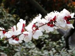 -三块石国家森林公园