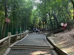 -灵岩山风景区