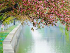 -元大都城垣遗址公园