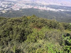 -紫金山索道-售票处