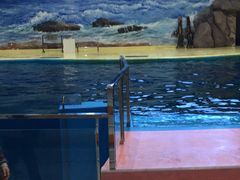 -福州罗源湾海洋世界旅游区