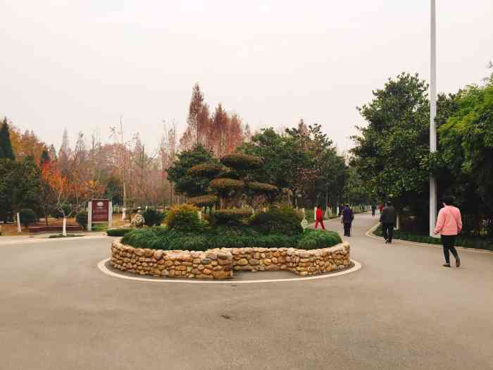 武汉和平公园图片