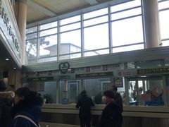 -北京大学肿瘤医院