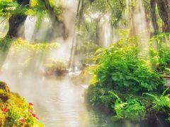 -Chom Cafe and Restaurant