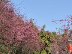 -五龙客家风情园