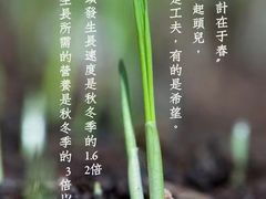 -丽影广场C区-会展时代写字楼