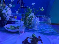 -海合安青岛极地海洋公园
