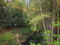 -深业半汤御泉庄温泉