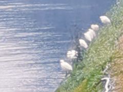 -蜀绣公园