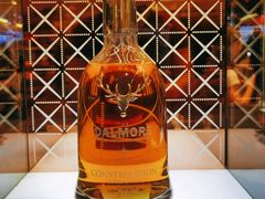 -戴高乐机场火车站