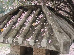 -南京市江宁方山