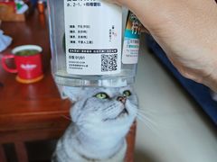 -喜茶(北京华贸购物中心店)