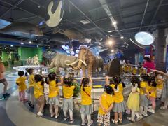 -武汉市江汉区楚天幼儿园(长江日报路)