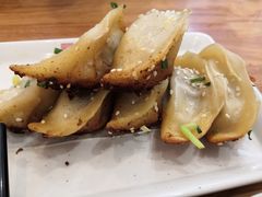 鲜肉锅贴-小姜锅贴(凤凰街店)