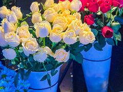 -循礼门鲜花花市(武汉循礼门店)