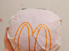 板烧鸡腿堡-麦当劳(帝豪店)