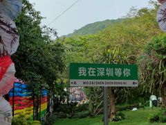 -青青世界