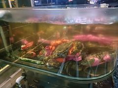 -鑫悦楼煎蟹·16年海鲜大排档