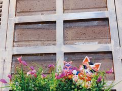 -抚顺美食·老上海味道