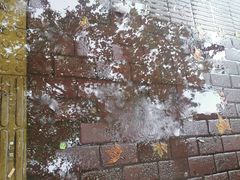 -汪记鲜鱼糊汤粉(沈阳路总店)