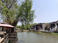 -尚贤河湿地