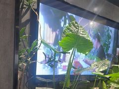 -陈熹公民族美食文化餐厅(中华广场店)