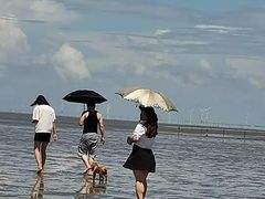 -南汇嘴观海公园