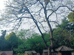 -上海野生动物园