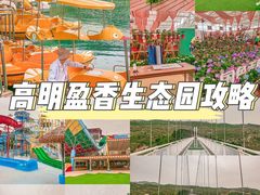 -盈香心动乐园